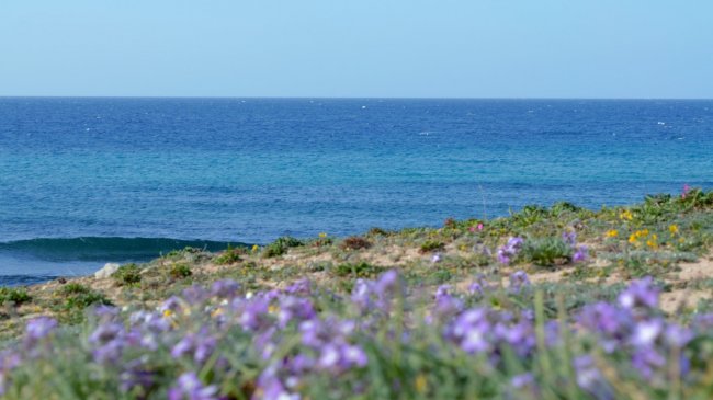 Residence Cala Verde (LE) Puglia