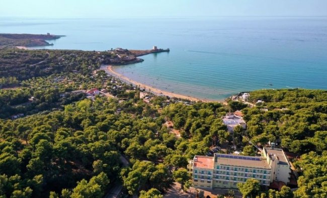Veduta aerea di una spiaggia contornata da foresta.
