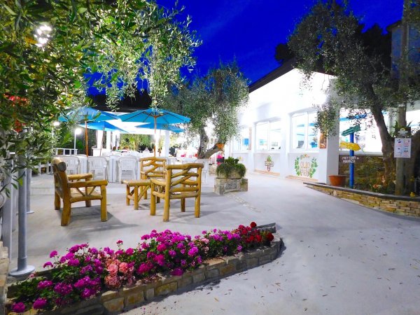 Giardino notturno con fiori, sedie in legno e ombrelloni blu.