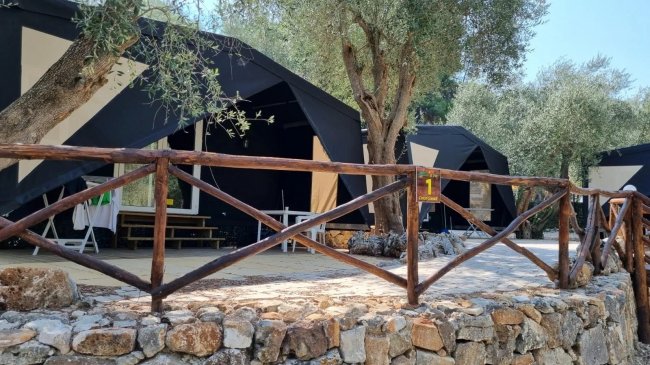 Tende e alberi dietro una staccionata di legno.