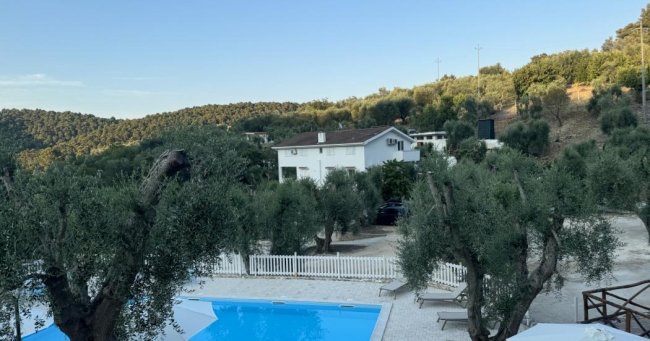 Piscina vista dall'alto con ulivi e colline.