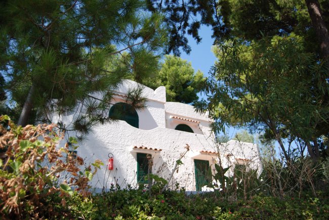 Edificio bianco tra alberi.