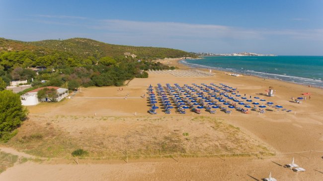 Spiaggia sabbiosa con file di ombrelloni blu, vicino a colline verdi.