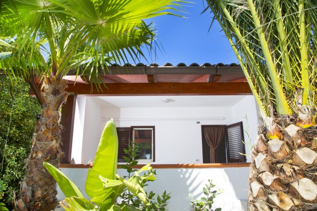 Bungalow bianco circondato da palme e vegetazione.