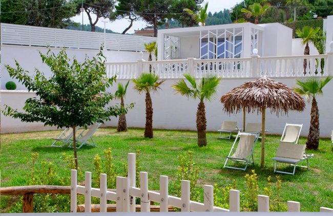 Giardino con palme e lettini.